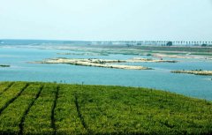 青島“省控河”水質改善 113處排污口已被封堵